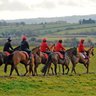 WestBerksRC's profile picture. West Berkshire Racing Club - for horse racing fans who want to get out and discover more about racing.