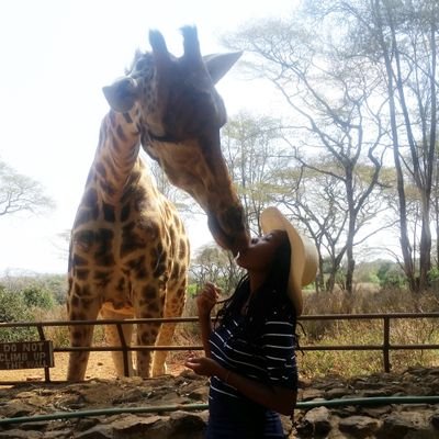 AnoldLilian's profile picture. Tanzania Tour consultant 

Email:lilian@kilitwende.co.tz