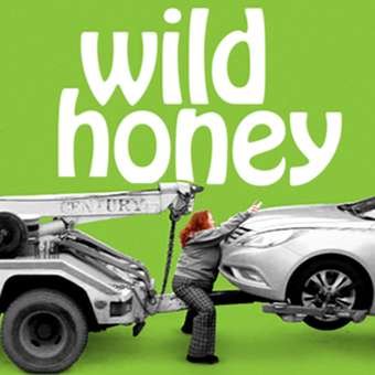 Independent Film from writer/director Francis Stokes starring Rusty Schwimmer & Timothy Omundson  #wildhoneythemovie