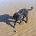 susan congreve (@octbreeze) Twitter profile photo