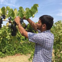 Gaurab (@vattaraigrb) 's Twitter Profile