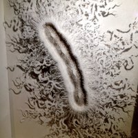 BiologyBSU (@bathspabiology) 's Twitter Profile