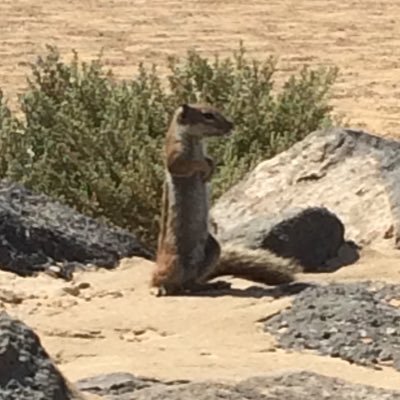 Cameron80027170's profile picture. PS4 gamer I live in a city called inurmom on 123.get to fuck street I'm a 40 year old doogo looking for a slave