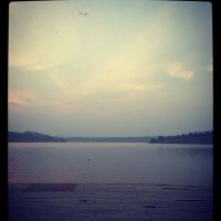 Aline (@mk_aline) 's Twitter Profile