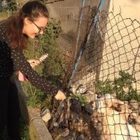 buse nur ural (@buseural) 's Twitter Profile