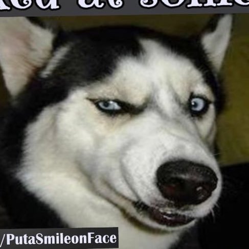 DriverCarolina's profile picture. Leaders without fight are sheep. Media giving same opinion is PR.Retweet opinions of interest. Comment may not be original. Question why they're doing it.