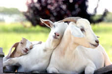 plannerjim's profile picture. 