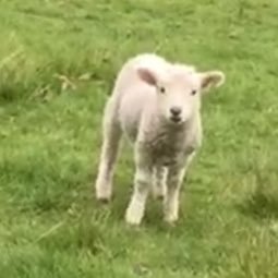 iTunes2_'s profile picture. 