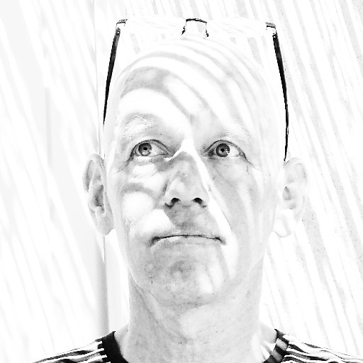 NicholasDHamlyn's profile picture. Filmmaker, writer on artists' film and video and Professor at University for the Creative Arts, Kent and Surrey.