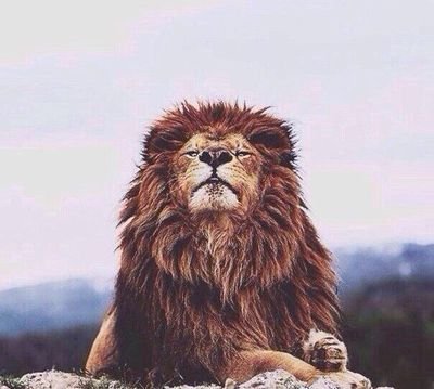 legedyonschool's profile picture. #Funny#idontgiveshit#badass