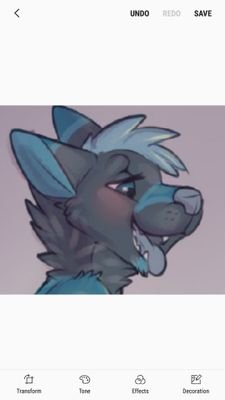 31 he/they, AD of a lewd wolf. Mostly for porn and venting. 18+ only