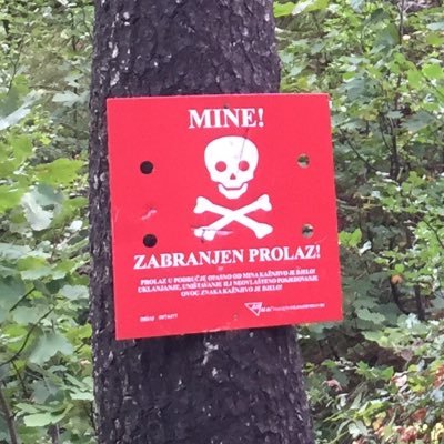 domingovitx's profile picture. 