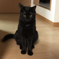 yk (@pynr2016) 's Twitter Profile Photo