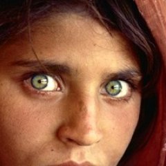 4Integrado's profile picture. Verdades por descubrir, universos por conocer.
Grupo de estudiantes del IES Ciudad Jardín.