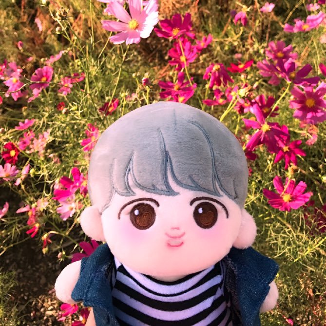 はんちゃんさんのプロフィール画像