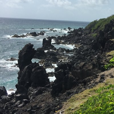 dawglife77's profile picture. Twitter is entertainment. Sit back and enjoy adults making fools of themselves.