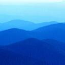 ROBERTO VENEGAS VEGA - @BARUTBIO - Twitter