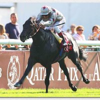 Haras De Treli (@harastreli) 's Twitter Profile