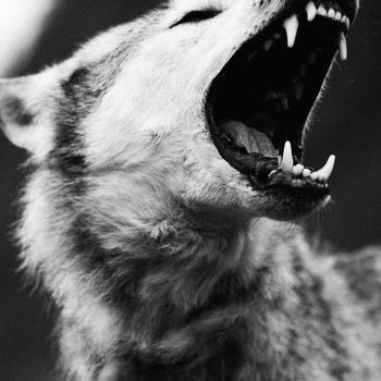 Saalve a tutti! Sono Federica e qui pubblicherò gli aggiornamenti che farò nelle mie storie di Wattpad.
Seguitemi!
https://t.co/C63uNMV8Fl