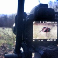 One.Million.Media (@dreamshot365) 's Twitter Profile