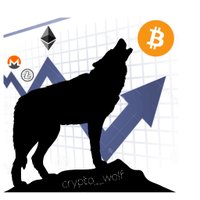 CryptoWolf (@crypto__wolf) 's Twitter Profile
