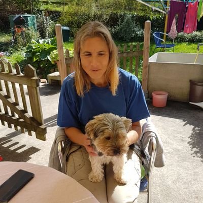 VerbindPferd's profile picture. Ich biete Hilfe im Umgang mit Problempferden und Energetisches Heilen  gehört mit dazu. Zudem biete ich Pferde gestütztes Coaching an.