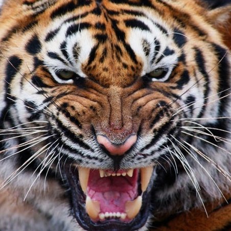 AntcoxCox's profile picture. 