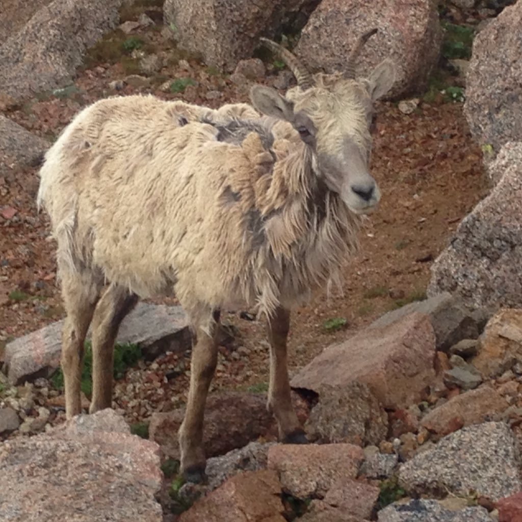 clarke_vghs's profile picture. Math Teacher with Opinions