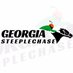 Georgia Steeplechase (@GAsteeplechase) Twitter profile photo