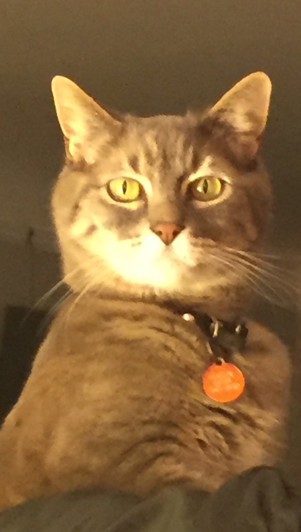 DoyleCorrie's profile picture. 