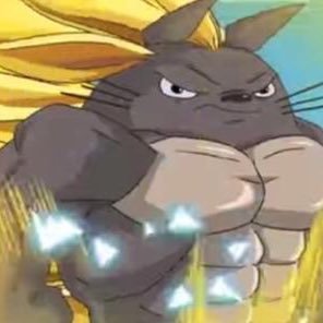 dokkantotoro's profile picture. 