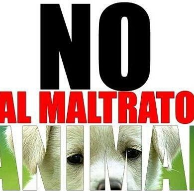 Defensor de los Derechos del Animal. Medio Ambiente.