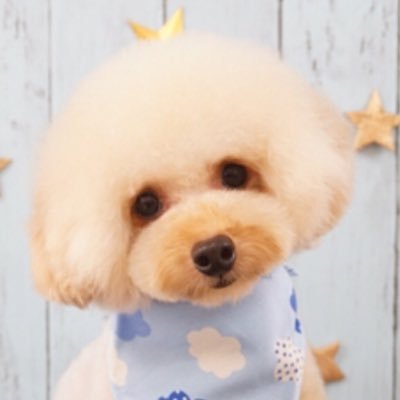 fp_maronmaron's profile picture. flumpool♡インテロ年会員🎼🎸 flumpool ライブそしてファンのみんなに会えるのを心待ちにしてます❤️