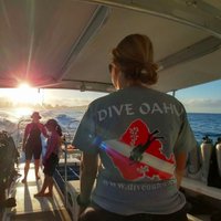 Dive Oahu & Surf(@diveoahu) 's Twitter Profile Photo