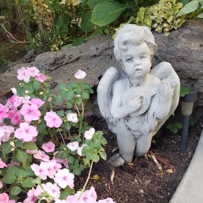 st0ned_luv's profile picture. Navigating🦋 the planet🌍 with Love❤Gratitude🙏 & THC🍃