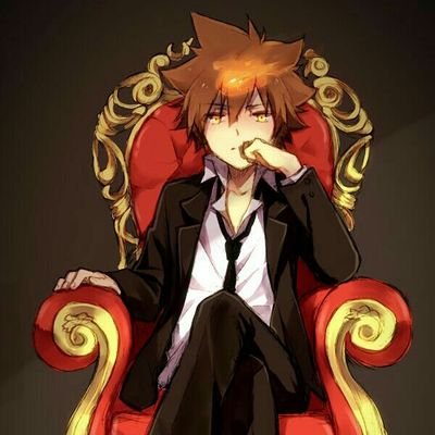 Student | Vongola Decimo
My pride is my comrades...my friends