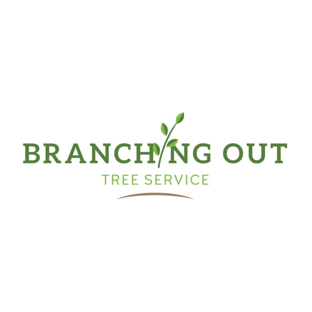 BranchingOutnow's profile picture. Tree Services
