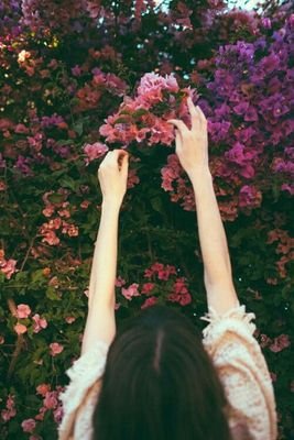 AnsariTaiyaba's profile picture. 🌱🌸🌺🌻🌹🌾