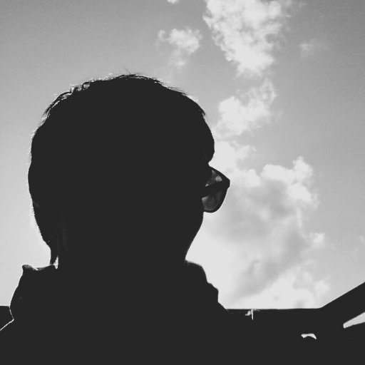stfa Profile