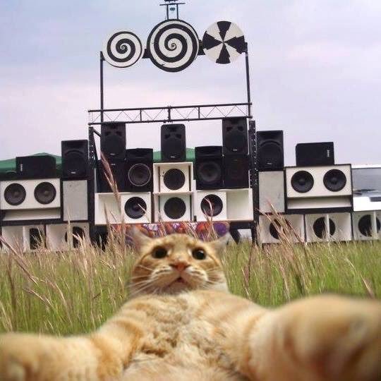 wev_s's profile picture. Red level member