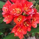 Ella Farrow - @ella_farrow2 - Twitter