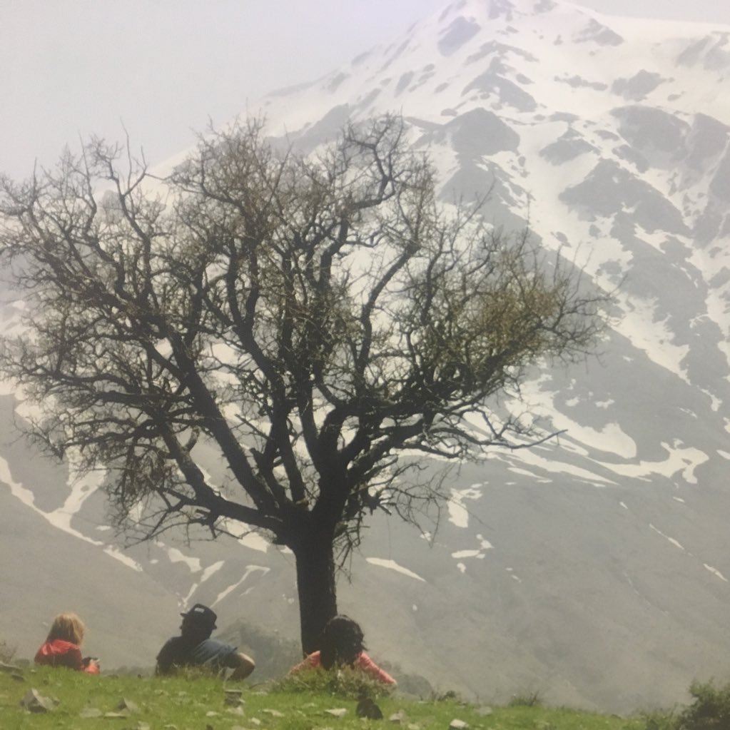 Siirt ve çevre illerde kendini yanlız hisseden bayanlar.maddi manevi desteğe hazırım (karşılıklı güven)