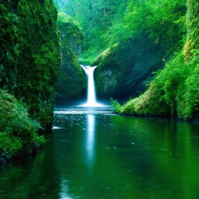 Alparslanbil's profile picture. 