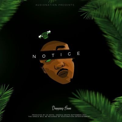 troy_management's profile picture. Manager of @This_Is_Kk