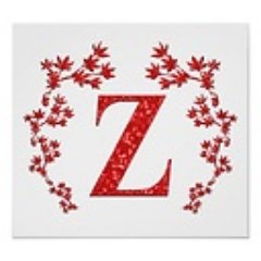 zeeshaanbond's profile picture. An Autodidact.