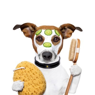 ZhangKe79005620's profile picture. 