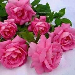 Lulu05252801's profile picture. 