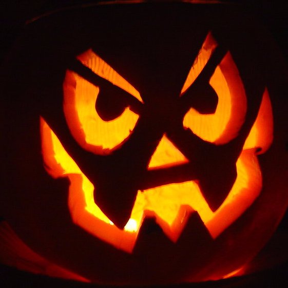 TrishMcTush's profile picture. Boston, MA