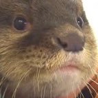 B2mindcontrol's profile picture. ヘッダーは僕です