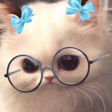 ☾ S V E T C H A N S K I •like cats •13 reasons why  •SKAM •love my 😾 ~
